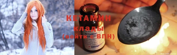 индика Кемь